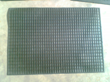 Designer Footmat